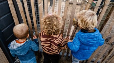 Kinderopvang de Boomgaard locatie Langevelderweg (KDV) foto 6