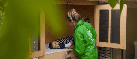 BSO Sterrenboom foto 9