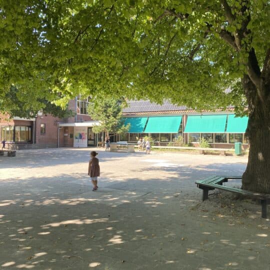 POV/KDV De Molen foto 4