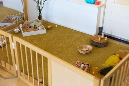 Bruintje Beer foto 8