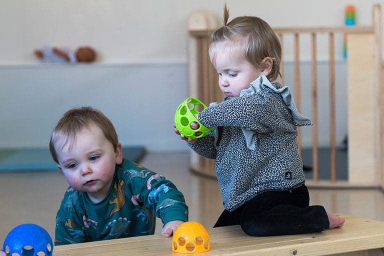 Bruintje Beer foto 9