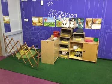 De Speelmaatjes foto 5