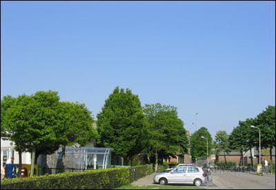 Sweelincklaan foto 7