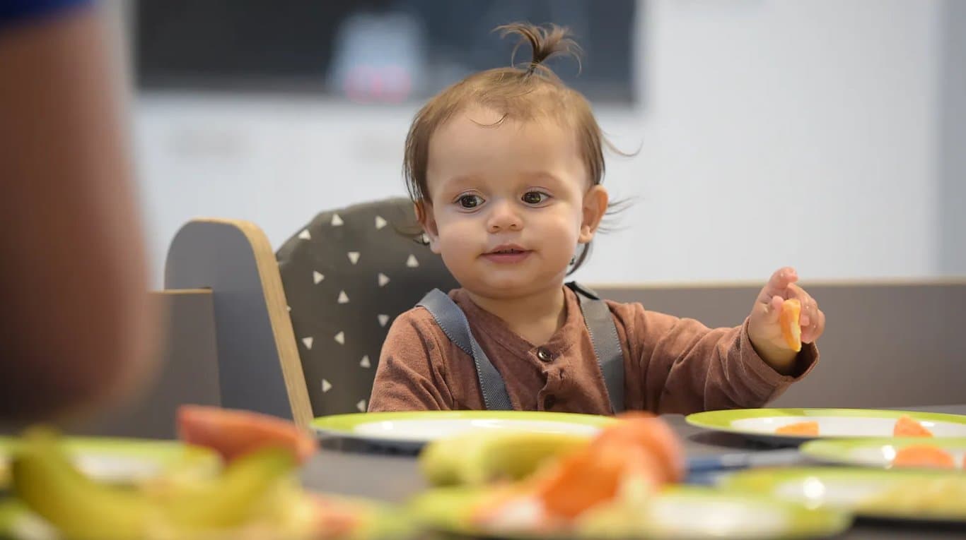 Peuteropvang Van Harte foto 7