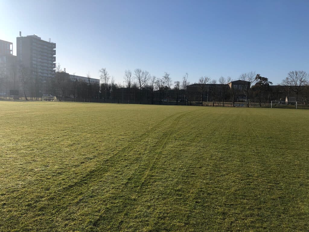 Sportfever SportBSO de Hout foto 4