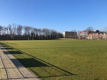 Sportfever SportBSO de Hout foto 6