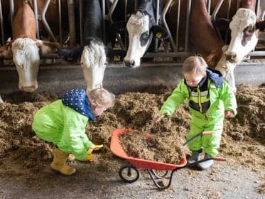Boer'n Bengels foto 5