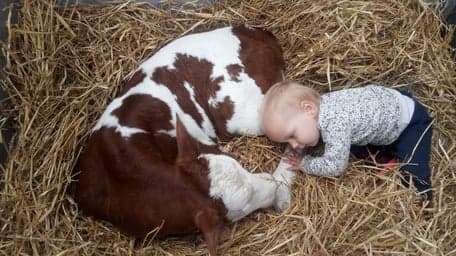 Boer'n Bengels foto 9