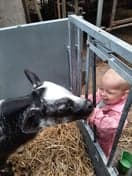 Boer'n Bengels foto 10