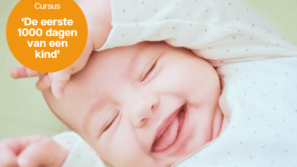 KC de Heidevlinder Pluskinderopvang foto 5