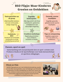 BSOFlipje B.V. 2