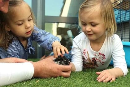 Peuteropvang 't Krakelingetje foto 9