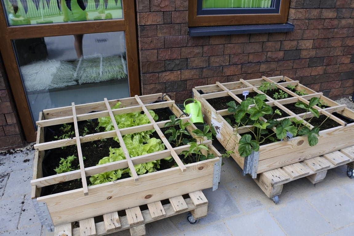 Puck&Co IKC Dorpsschool Rozendaal foto 8