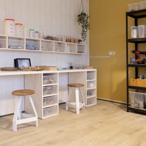 BSO Koning Rembrandt 3