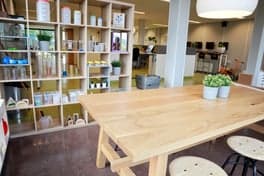 BSO Koning Rembrandt foto 8