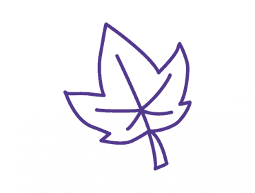 SKSG Groenewei foto 5