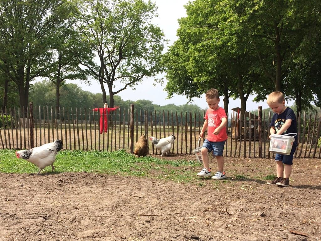 De Krakenburg B.V. 3