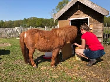 De Krakenburg B.V. foto 4