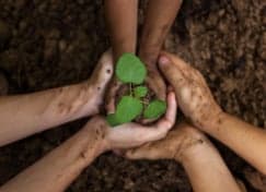 IKC de Wingerd 4 - 13 jr 2