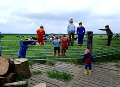 IKC de Wingerd 4 - 13 jr foto 5