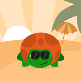 BSO IKC Driemaster foto 5