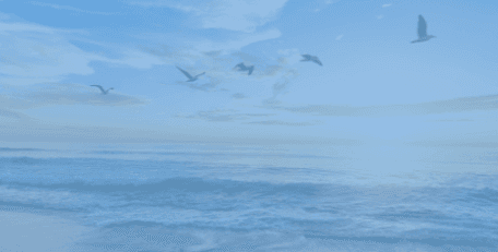 BSO IKC Driemaster foto 7