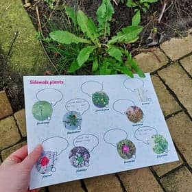 BSO de Expeditie foto 6