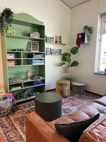 Komeet Kleine Beer 3