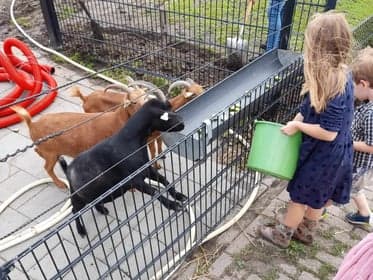 Buitenschoolse opvang klavertje 4 foto 4