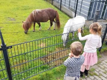Buitenschoolse opvang klavertje 4 foto 5
