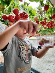 Buitenschoolse opvang klavertje 4 foto 9