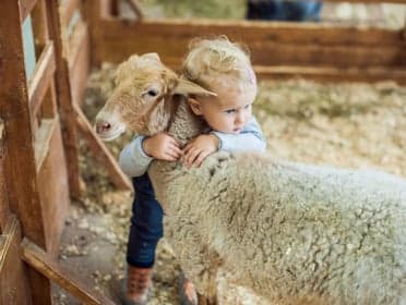 Buitenschoolse opvang klavertje 4 foto 10