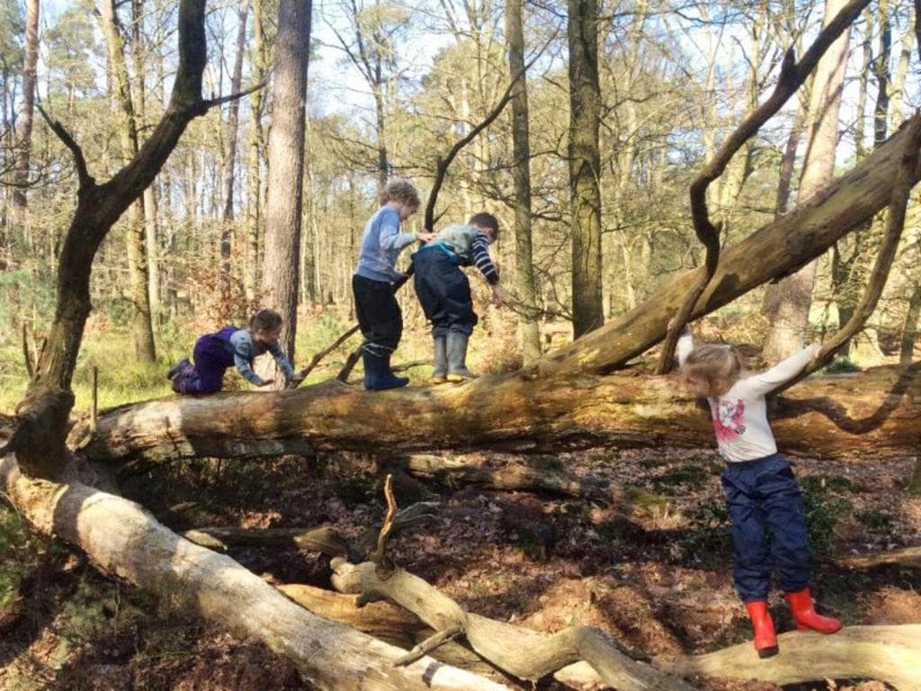 Club Basker - Jachtlaan 2