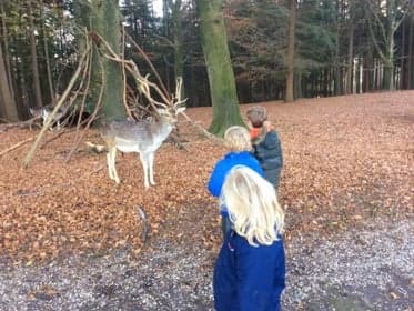 Club Basker - Jachtlaan foto 4