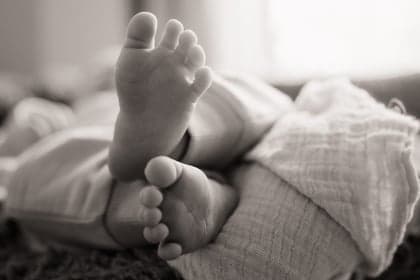 De Zwingeltjes BV foto 9