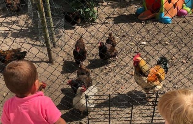 De Kinderruimte B.V. 3