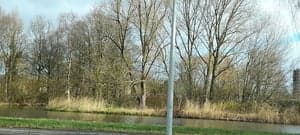 Al Amana Kinderopvang B.V. foto 4