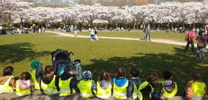 Hestia Amstelland foto 10