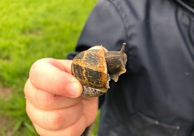 Agrarisch kinderdagverblijf De Koetjes foto 5