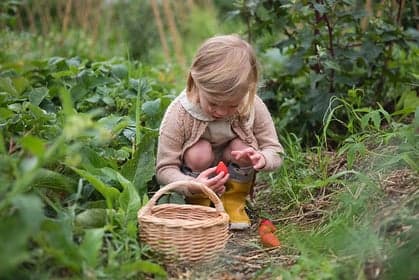 Kinderdagverblijf de miniKeet foto 5