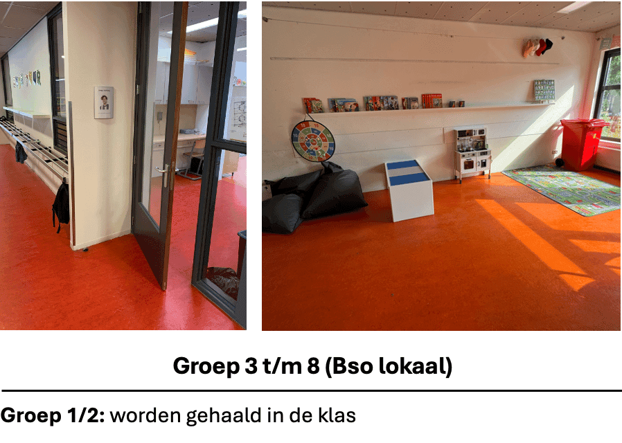 Sport BSO Flekss Zonzeel