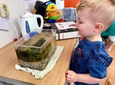 Peuteropvang It Protternêst foto 8