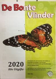 KC De Bonte Vlinder foto 9