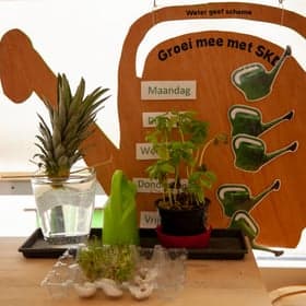 Vlinderstruik foto 4