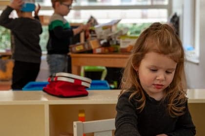 Vlinderstruik foto 5