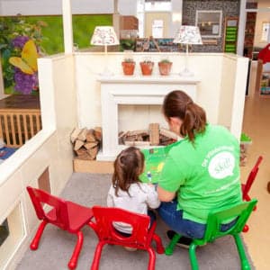 Vlinderstruik foto 6