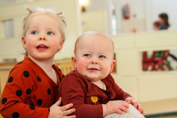 Vlinderstruik foto 8