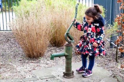 Vlinderstruik foto 9