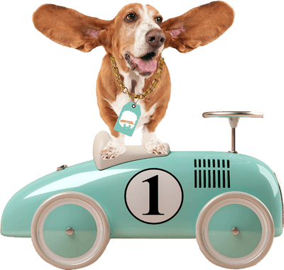 Sport BSO Bommelerwaard foto 4