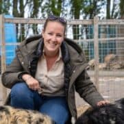 ZON! in de polder foto 4